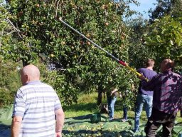 2025-10-17 19.41.28-2